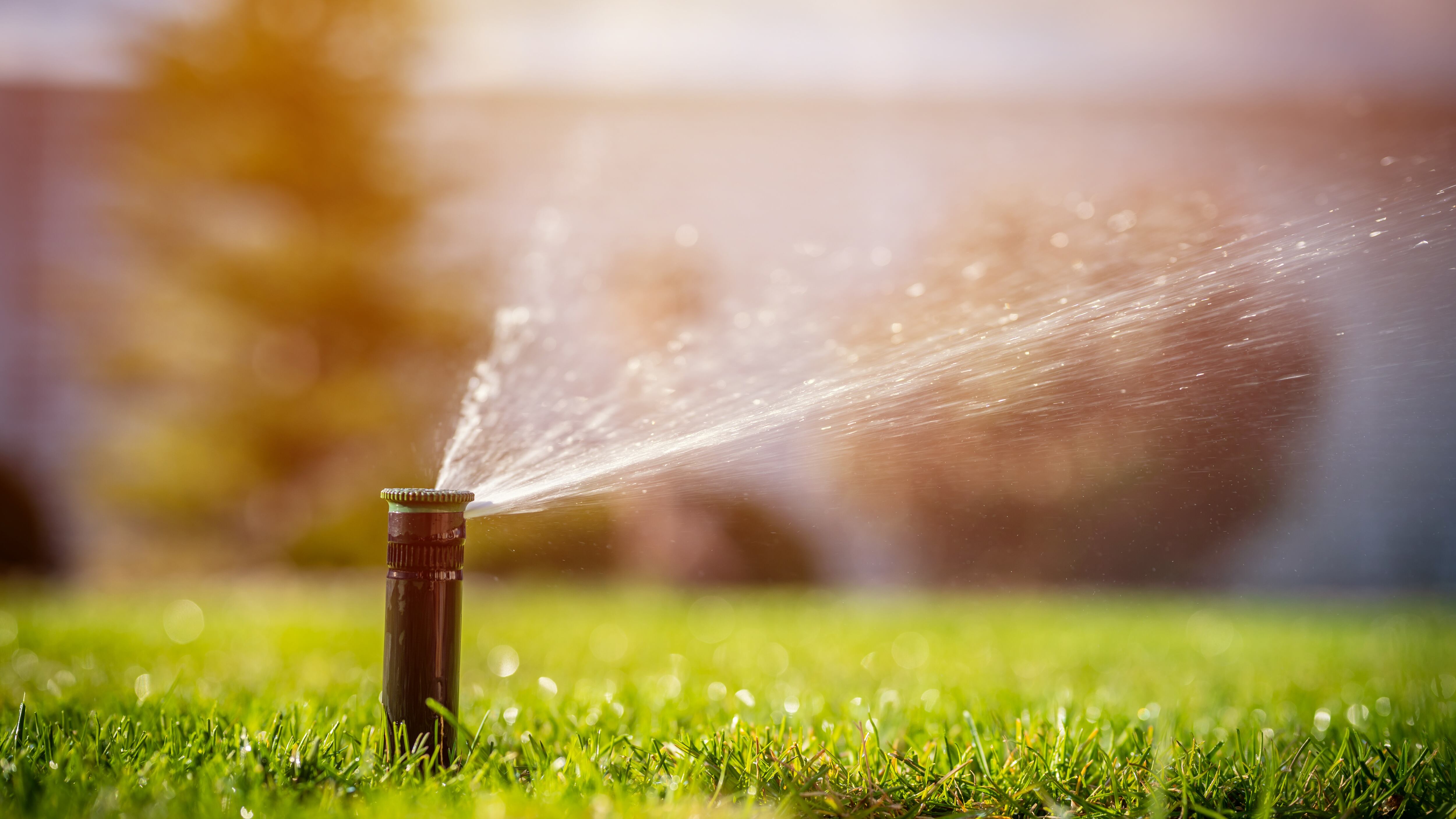 Yard sprinkler