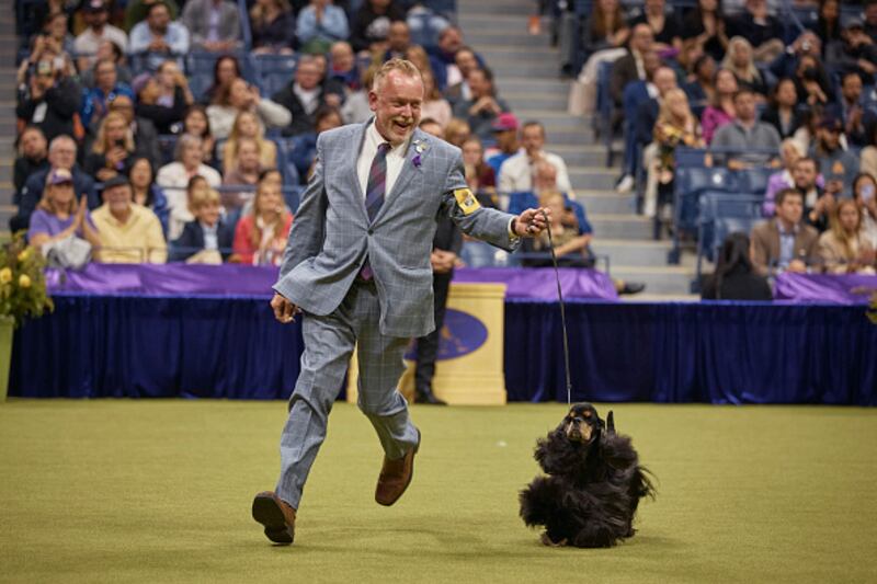 Westminster Kennel Club