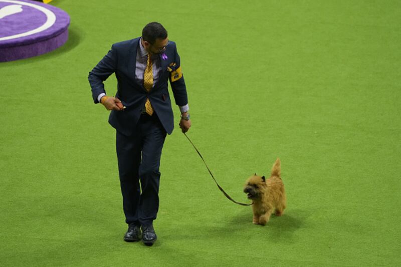 Westminster Kennel Club