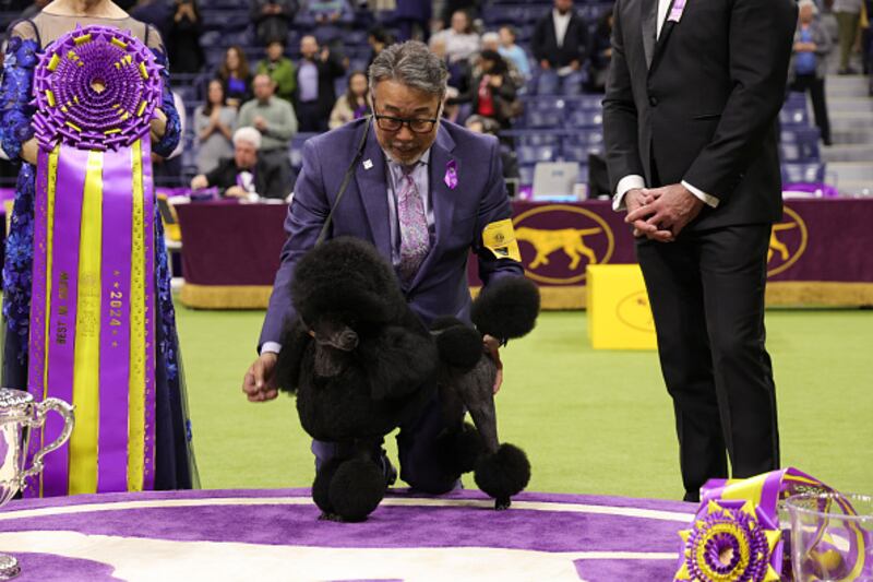 Westminster Kennel Club