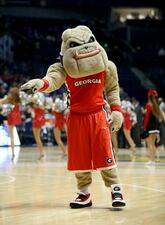NASHVILLE, TN - MARCH 11:  The Georgia Bulldogs mascot performs during the game against the South Carolina Gamecocks during the quarterfinals of the SEC Basketball Tournament at Bridgestone Arena on March 11, 2016 in Nashville, Tennessee.  (Photo by Andy Lyons/Getty Images)